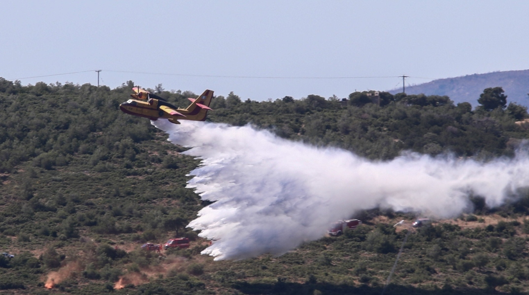 Φωτιά στη Φωκίδα: Μία σύλληψη για εμπρησμό από αμέλεια - Επιβλήθηκε πρόστιμο 1.074 ευρώ