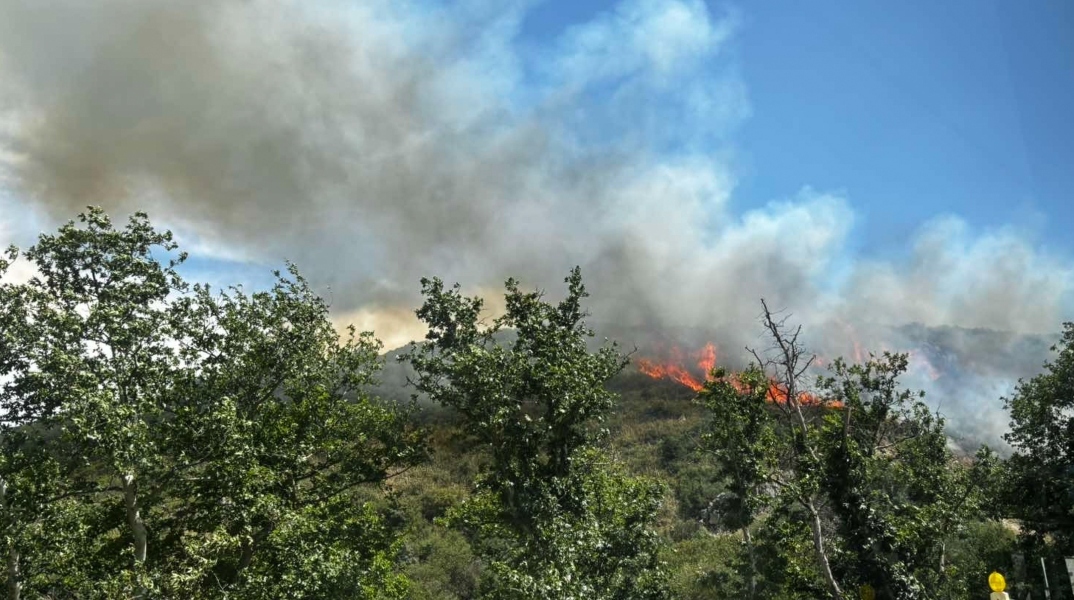 Αχαΐα: Φωτιά σε δασική έκταση στα Ζησιμαίικα - Στη μάχη και εναέρια μέσα