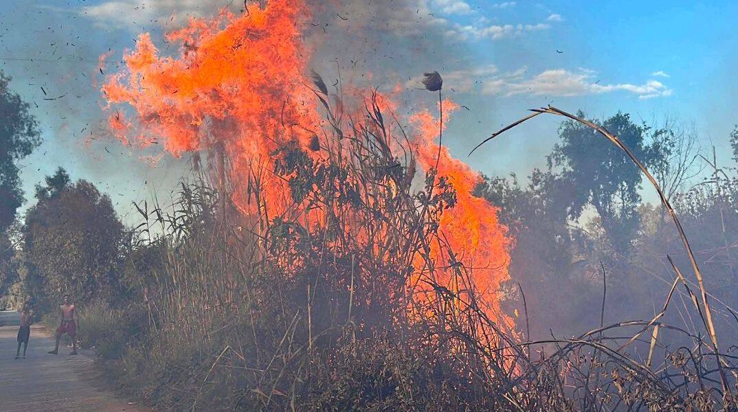 Σε ύφεση η πυρκαγιά σε χαμηλή βλάστηση στα Σπάτα - Iσχυρές πυροσβεστικές δυνάμεις σε Αττική και Βοιωτία