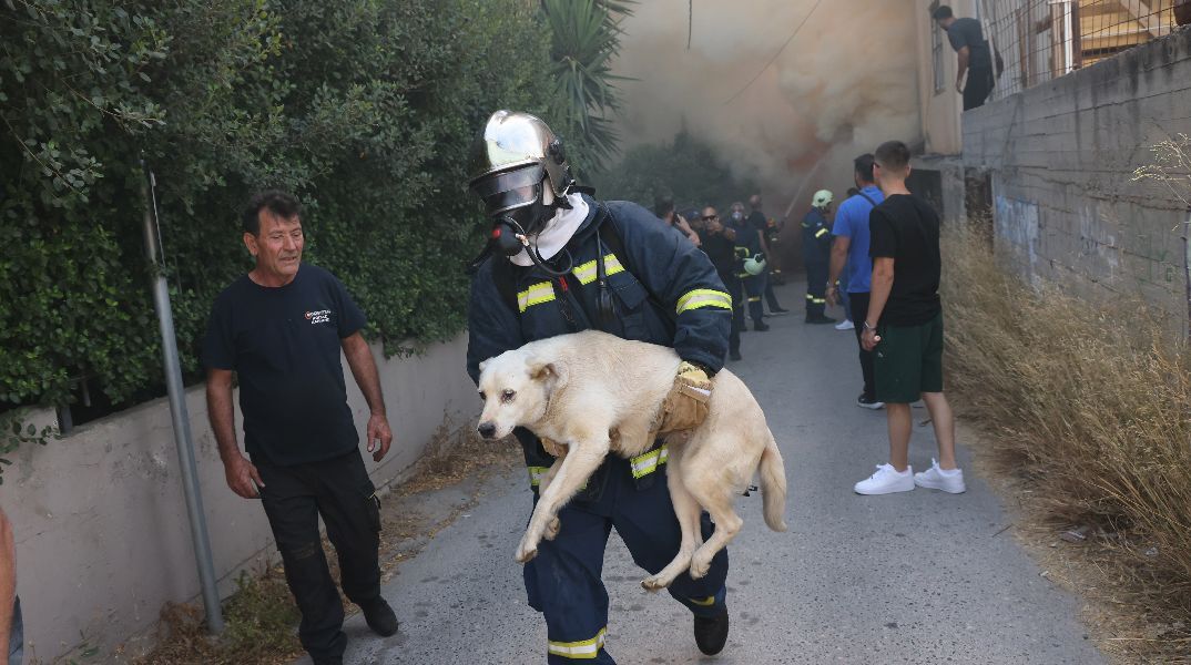 Μεγάλη η φωτιά σε εργοστάσιο στο Ηράκλειο: Καίγονται τρία σπίτια, μήνυμα του 112 για τους καπνούς