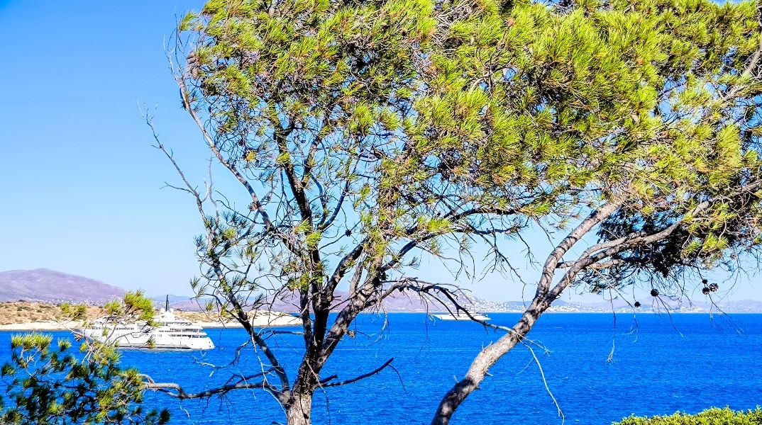 Καιρός σήμερα: Σ τους 36 βαθμούς Κελσίου η θερμοκρασία με ανέμους έως και 8 μποφόρ στο Αιγαίο