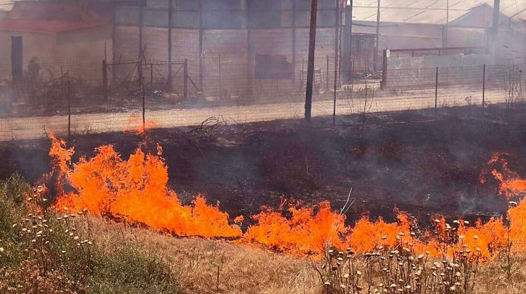 Από τρακτέρ μέχρι μπάρμπεκιου: Πέντε συλλήψεις για παραβάσεις της αντιπυρικής νομοθεσίας