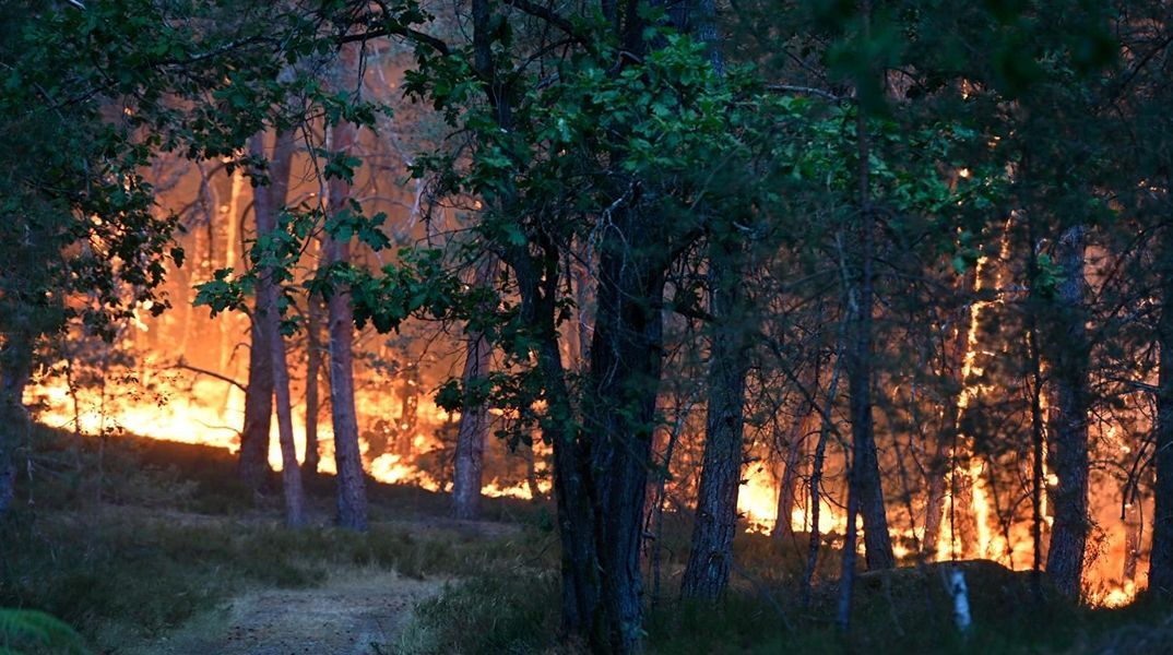 Μεγάλη φωτιά στο ιστορικό δάσος του Φοντενεμπλό στη Γαλλία - Επιχειρούν 500 πυροσβέστες και δύο Canadair