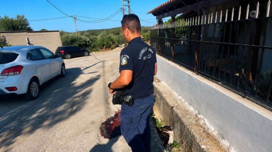 Φρίκη στην Κεφαλονιά: Άγνωστος πυροβόλησε και σκότωσε αδέσποτο σκυλί μέσα σε κατοικημένη περιοχή