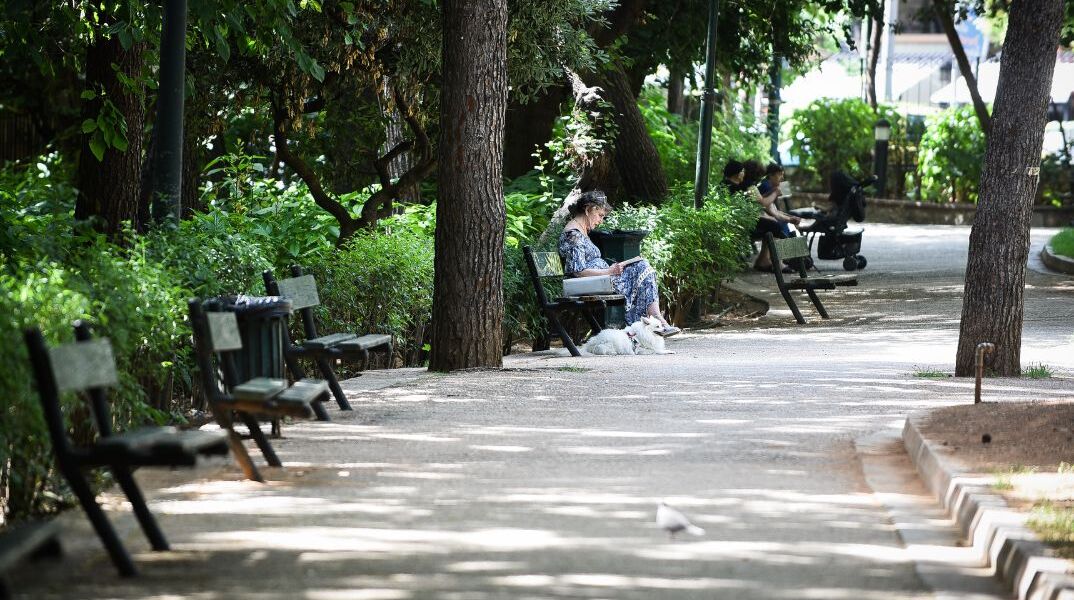 Απομακρύνεται προτομή του Μάνου Χατζιδάκι από το Άλσος Παγκρατίου