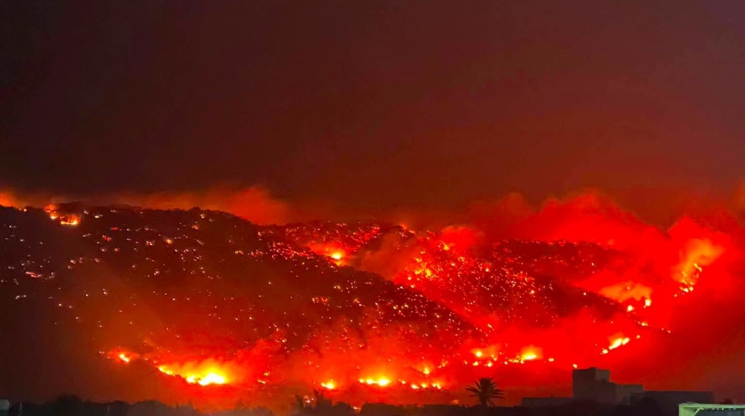 Πυρκαγιές στην Καλαβρία: Εμπρηστές έδεναν υφάσματα σε γάτες και τις έβαζαν φωτιά