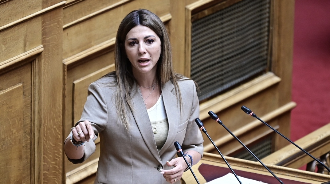 Ζαχαράκη για αναθεώρηση του Συντάγματος: Το ραντεβού με την ιστορία δεν πρέπει να το χάσουμε 