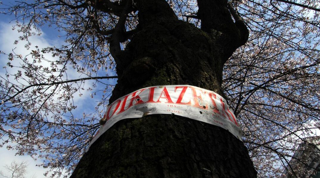 Φοιτητικό Στεγαστικό Επίδομα: Λήγει την 31 Ιουλίου, η προθεσμία αιτήσεων για το  2025-2026