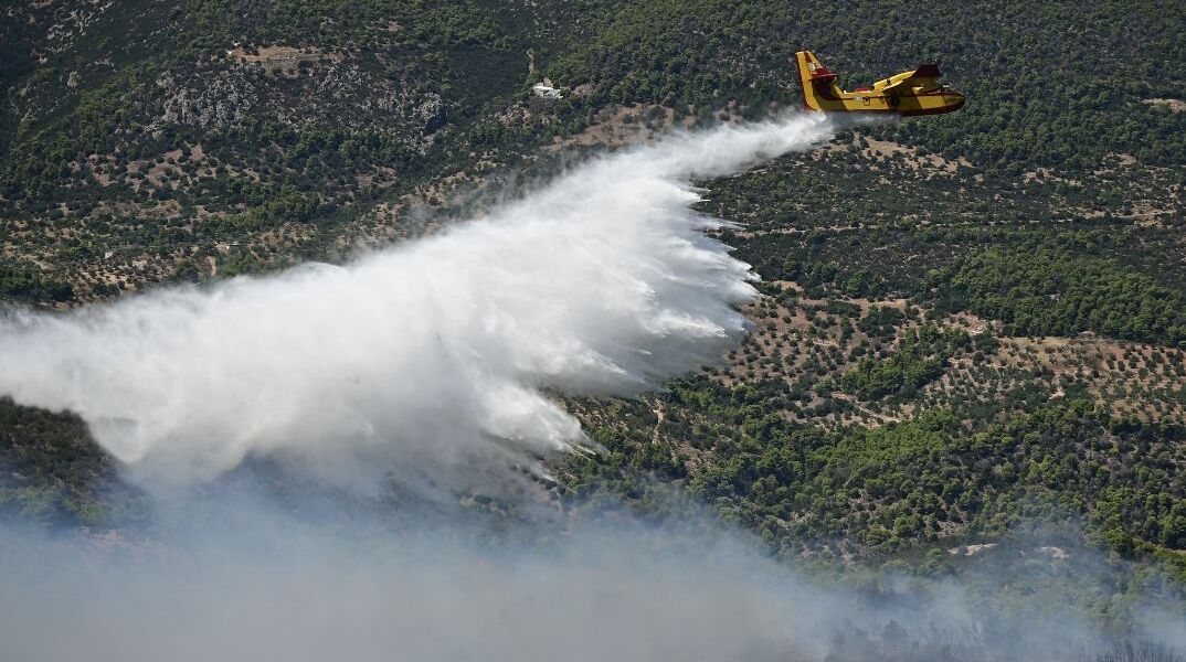 Μαίνεται η φωτιά στη Βοιωτία: Σαρωτικό πέρασμα από την Ξηρονομή