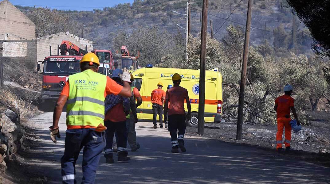 Καμένος κορμός τραυμάτισε εργαζόμενο του ΔΕΔΔΗΕ στην Αργολίδα