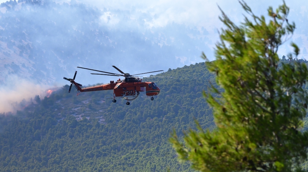 Φωτιά στην Καμηλόβρυση Λαμίας - 112 για ετοιμότητα
