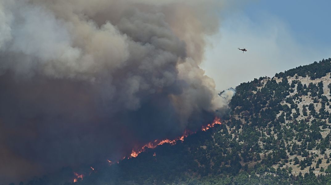 Πύρινος εφιάλτης στη Δυτική Αττική: Δραματικές ώρες στην Ψάθα, οι φλόγες πλησιάζουν σπίτια