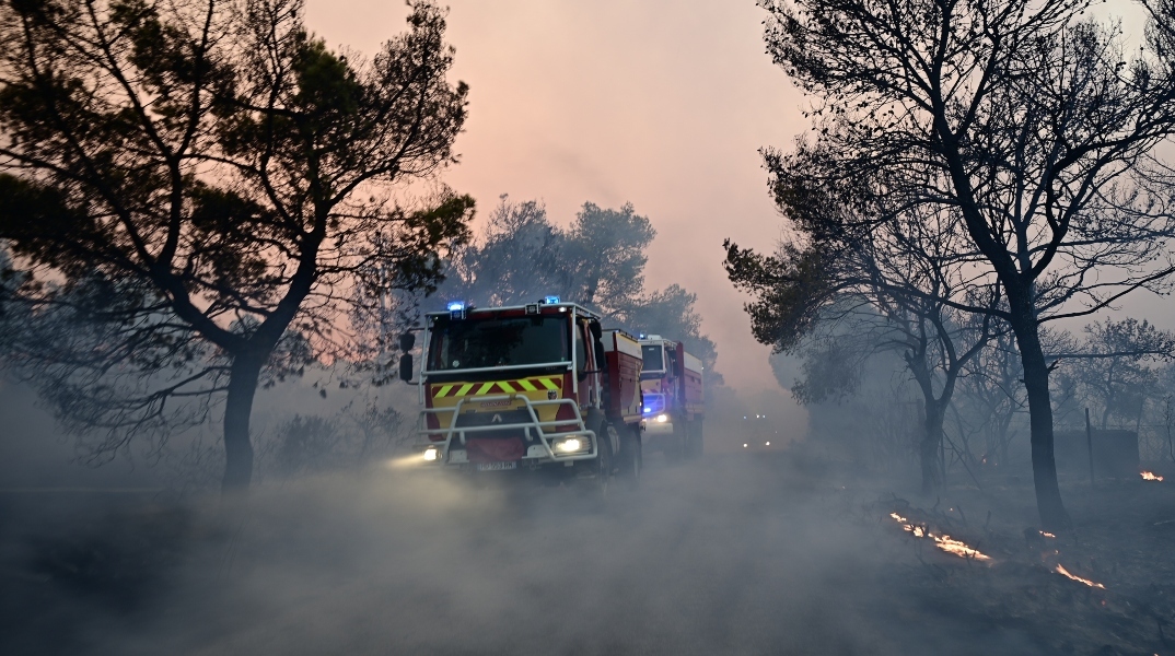 Συνελήφθη 66χρονος για πρόκληση πυρκαγιάς στην Χαλκιδική - Του επιβλήθηκε πρόστιμο 1.687,50 ευρώ
