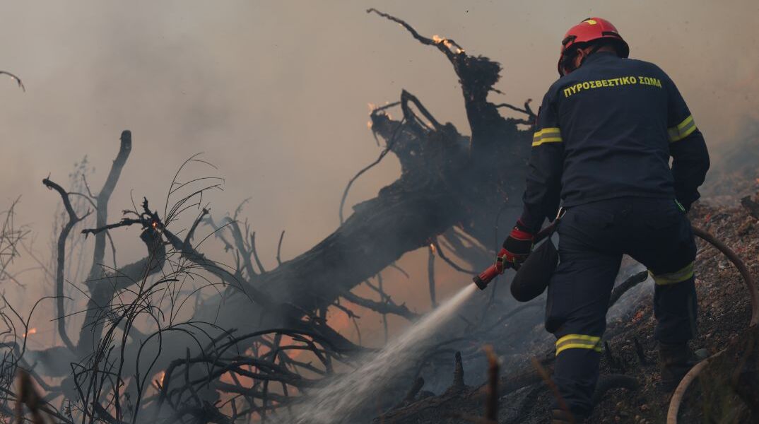 ΠΥΡΚΑΓΙΑ ΣΤΗ ΠΕΡΙΟΧΗ ΣΙΒΗΡΗ ΣΤΗ ΧΑΛΚΙΔΙΚΗ (ΒΑΣΙΛΗΣ ΒΕΡΒΕΡΙΔΗΣ / ΜΟΤΙΟΝΤΕΑΜ)