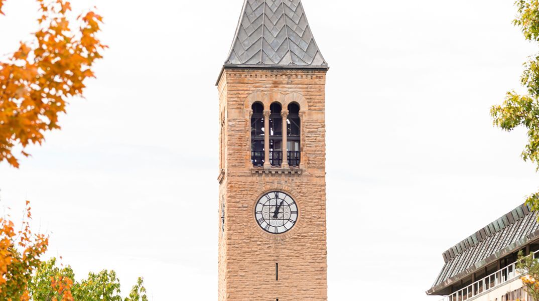 cornell university
