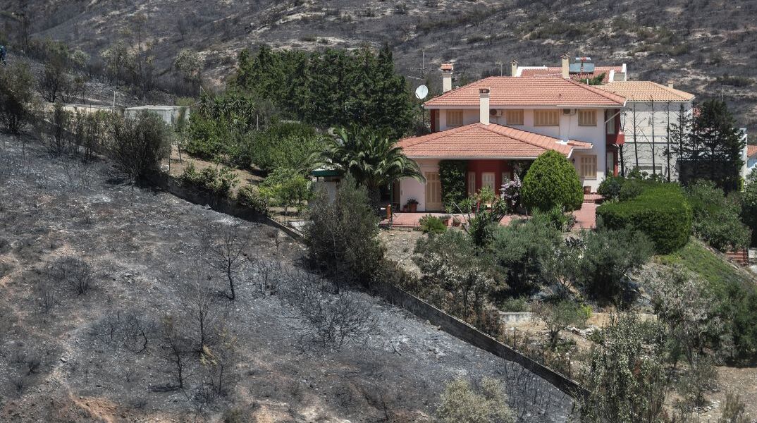 Πεντέλη: Δύο χρόνια μετά τη φωτιά, η φύση επιστρέφει – αλλά όχι όπως πριν