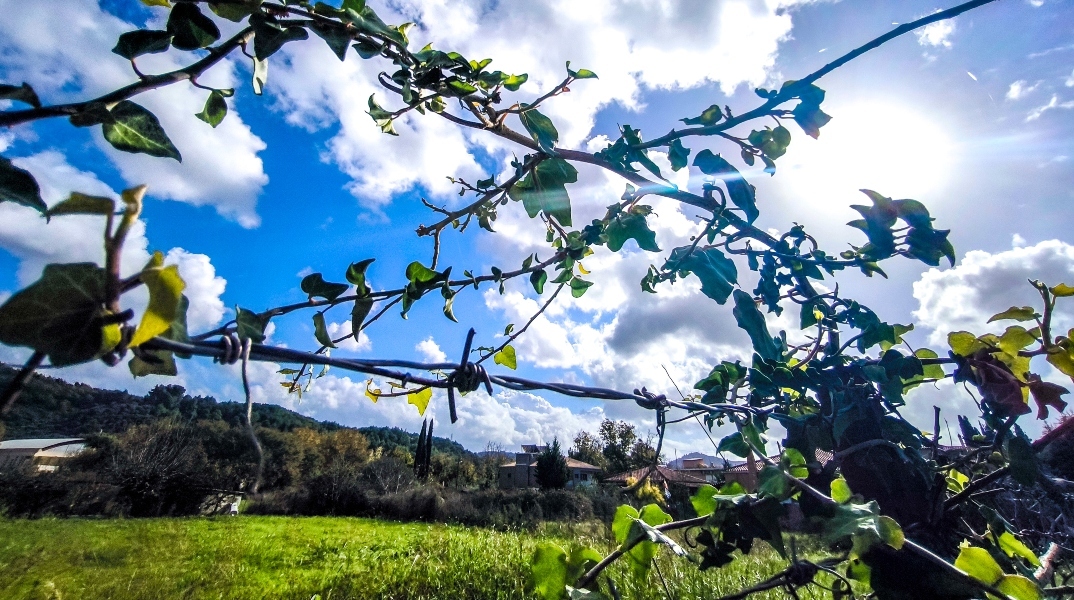 Καιρός: Ηλιοφάνεια με παροδικές νεφώσεις