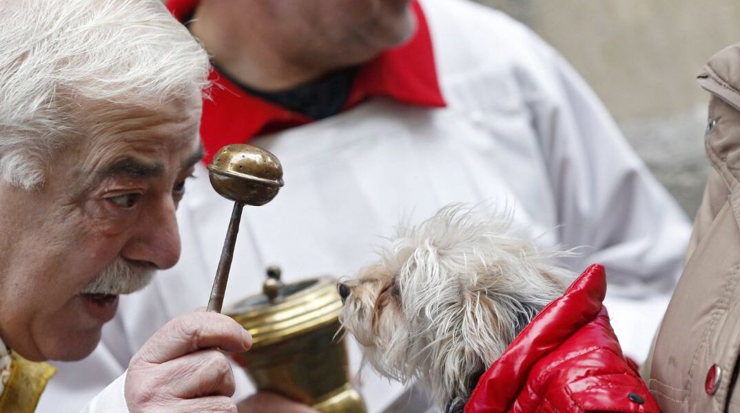 Ισπανία: Όλα τα ζωντανά του κόσμου έλαβαν την ευλογία του «προστάτη τους» Αγίου Αντωνίου