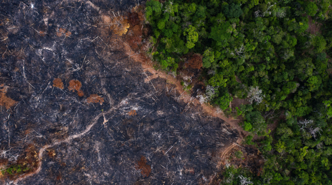 Η αποψίλωση του Αμαζονίου στη Βραζιλία έσπασε νέο ρεκόρ το πρώτο εξάμηνο του 2022,
