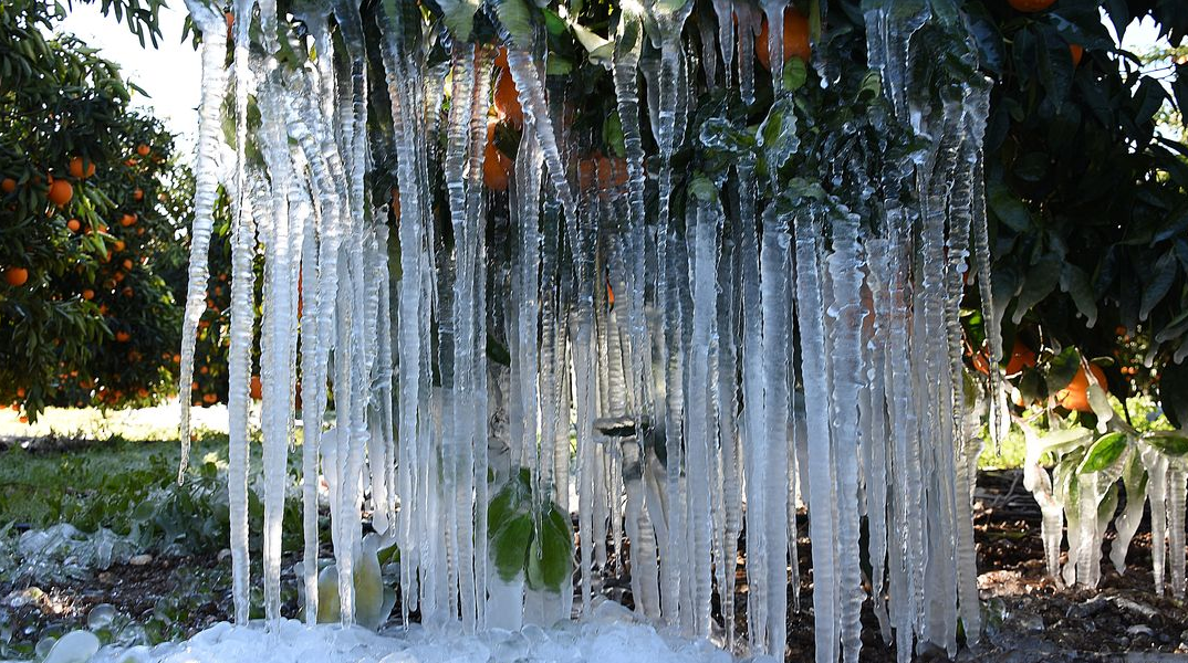 Παγετός το πρωί της Δευτέρας (20/2) σε περιοχές της χώρας