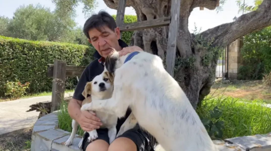 Ο Γεράσιμος Σκιαδαρέσης κάνει έκκληση για υιοθεσία σκυλίτσας που βρέθηκε στον δρόμο 