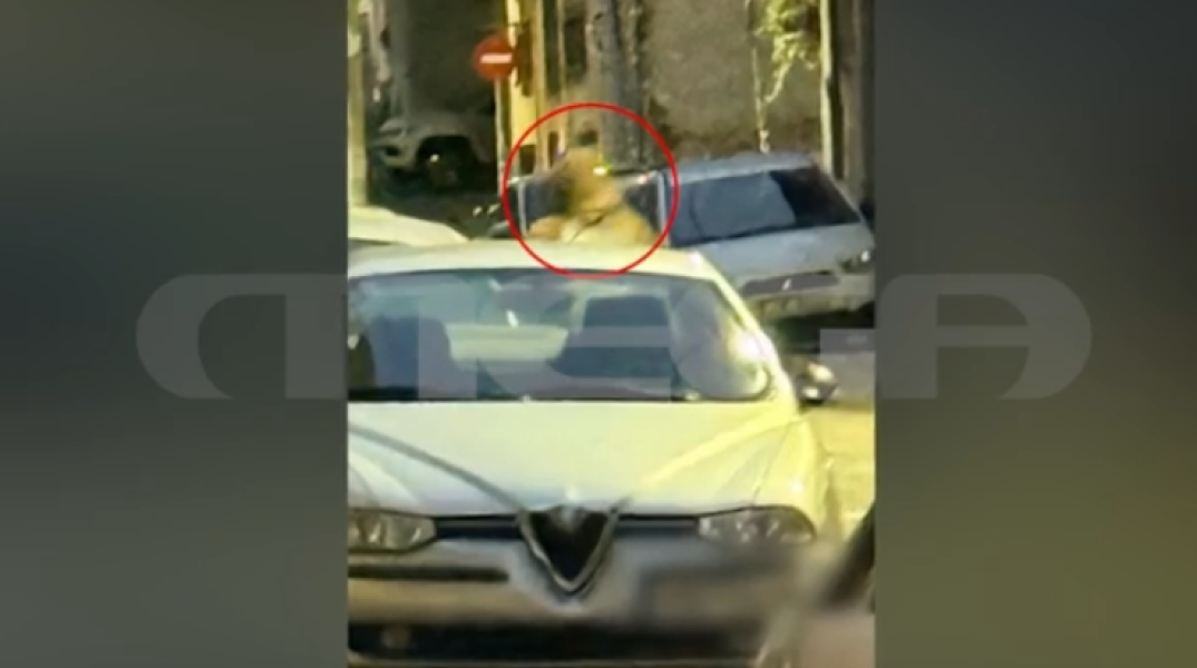 «Με θώπευσε στα οπίσθια και στο στήθος» - Έρευνα για τον «δράκο» που επιτίθεται σε γυναίκες στον Άλιμο