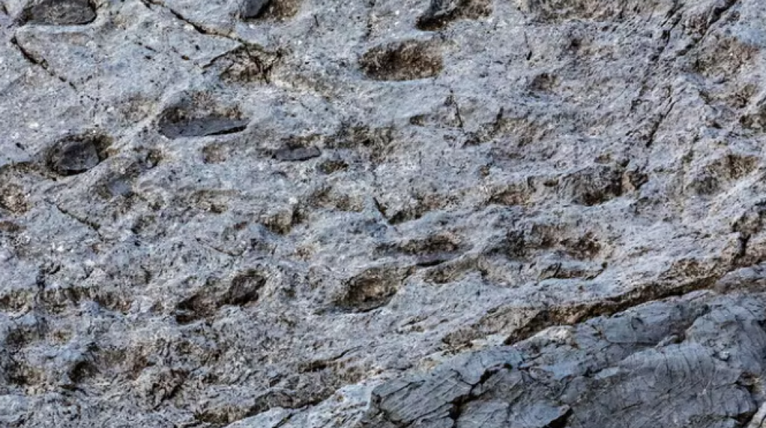 Ιταλία: Χιλιάδες αποτυπώματα δεινοσαύρων βρέθηκαν σε βράχους των Άλπεων