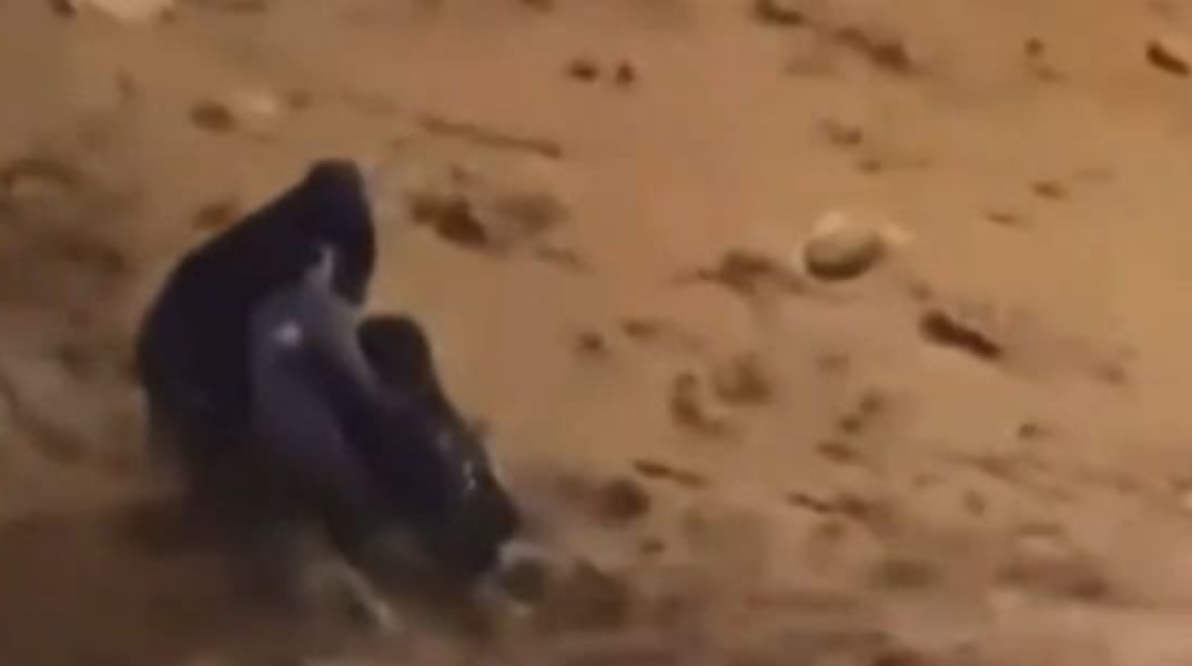 «Ήταν τρομαγμένη, τα πόδια μου γέμισαν πληγές» - Τι λέει ο άνδρας που έσωσε τη γυναίκα στην Άνω Γλυφάδα