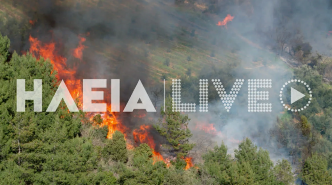 Μεγάλη δασική πυρκαγιά σε εξέλιξη στον Ελαιώνα Πύργου - Καίει σε δύο μέτωπα υπό ισχυρούς ανέμους