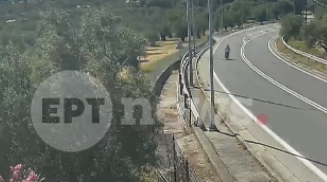 Τροχαίο στη Μυτιλήνη: Η στιγμή που η μηχανή χτυπάει στο κράσπεδο - Πώς έγινε η τραγωδία