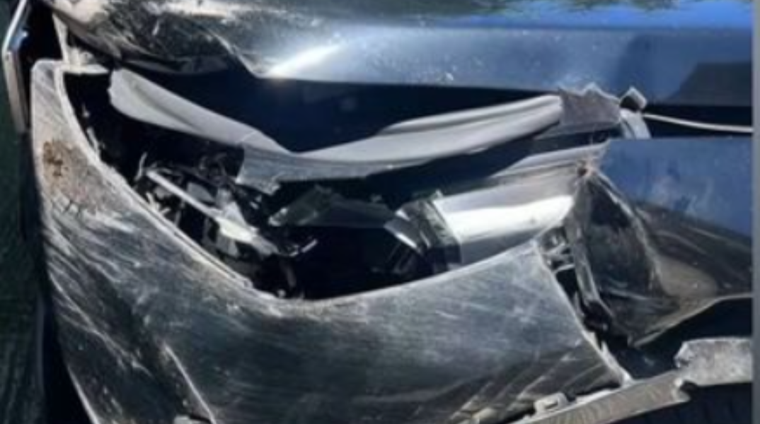 Γρεβενά: Ι.Χ. συγκρούστηκε με αρκούδα – Σώος ο οδηγός