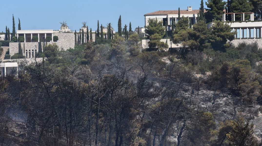 Καμένη έκταση από τη φωτιά στο Κρανίδι