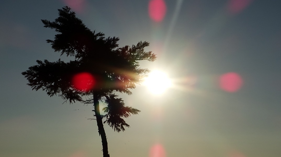 Καιρός: Στους 34 βαθμούς η θερμοκρασία σήμερα - Άνεμοι έως 5 μποφόρ στο Αιγαίο