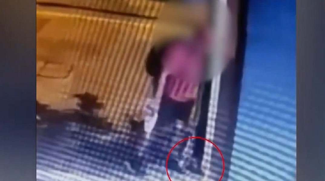 «Δεν το έκανα εγώ, είμαι μορφωμένος», λέει ο 40χρονος που φέρεται να πάτησε το γατάκι