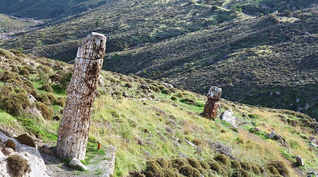 Το απολιθωμένο δάσος της Λέσβου