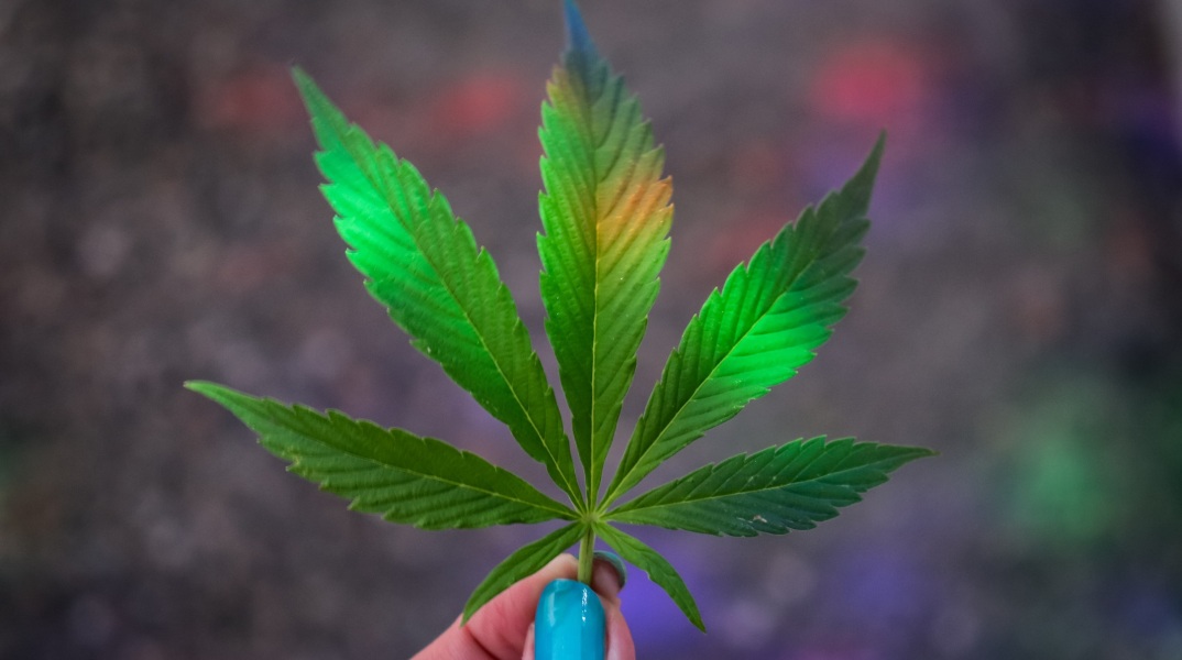 Ο Αμερικανός πρόεδρος Τζο Μπάιντεν απονέμει χάρη σε χιλιάδες καταδικασθέντες για κατοχή μαριχουάνας - Χιλιάδες έγκλειστοι φυλακών θα ωφεληθούν.