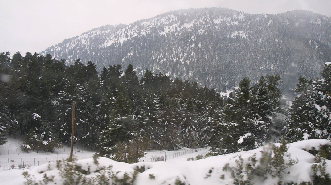 Στα «λευκά» o Παρνασσός