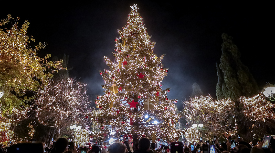 Το χριστουγεννιάτικο δέντρο στην πλατεία Συντάγματος