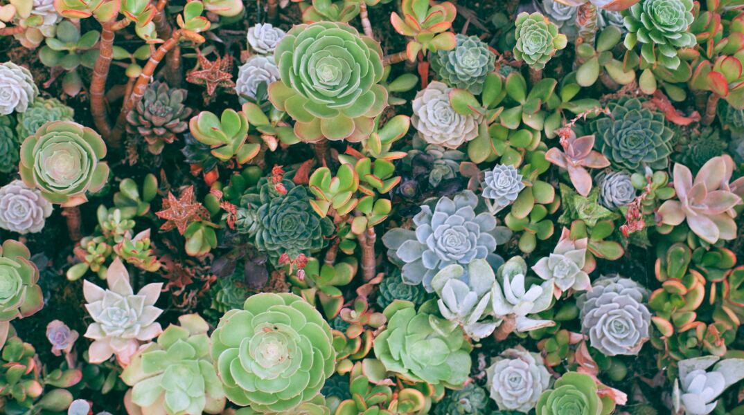 Εορτολόγιο: Σήμερα 23 Νοεμβρίου 2023 γιορτάζει…