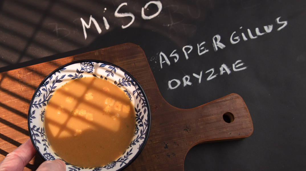 Το ασιατικό υλικό miso