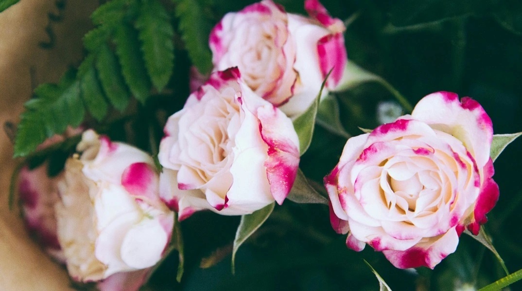 Εορτολόγιο, λουλουδια