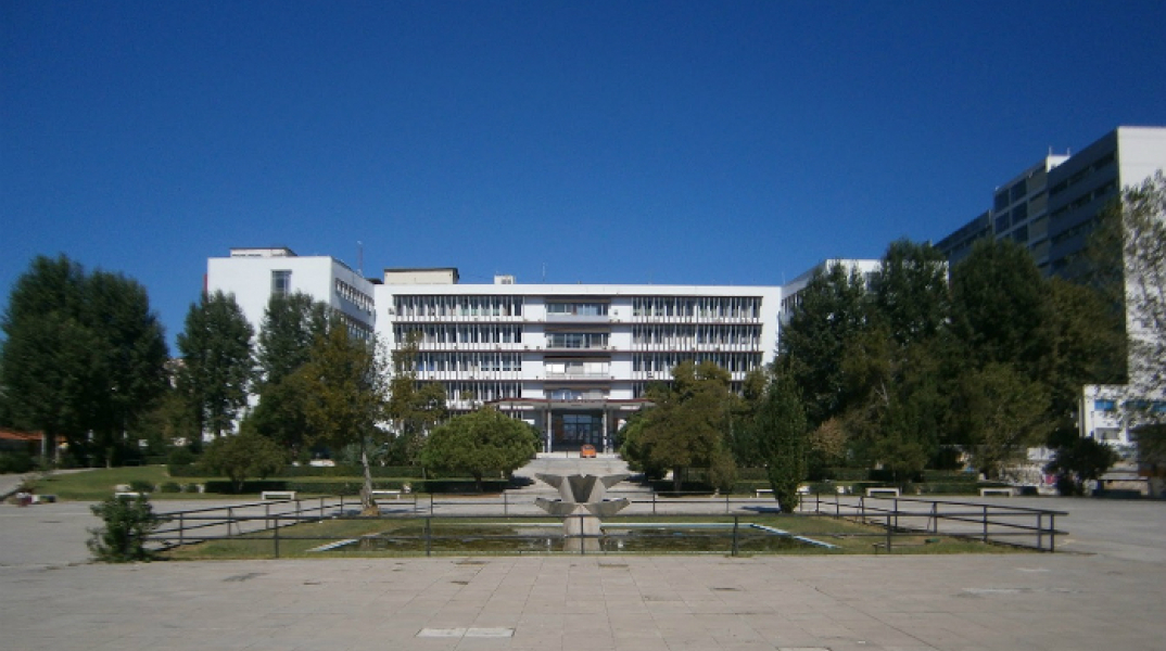 114575-227094.JPG