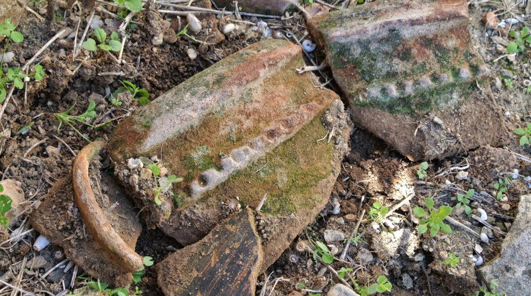 133937-305290.JPG