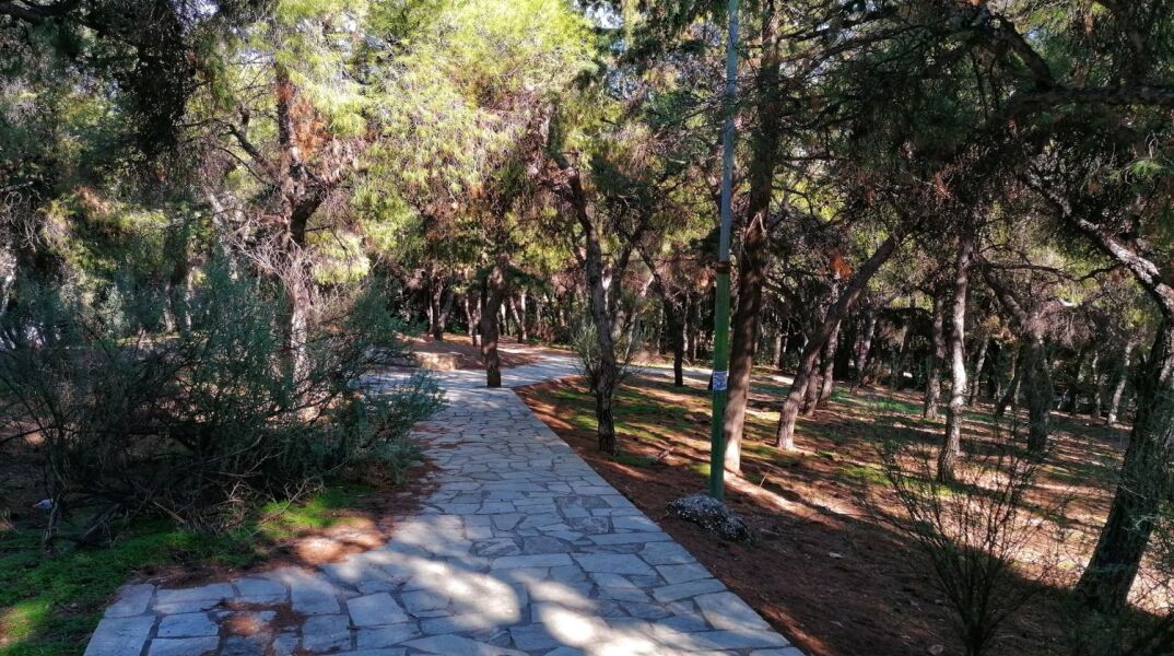 Αλσος Ιλισίων