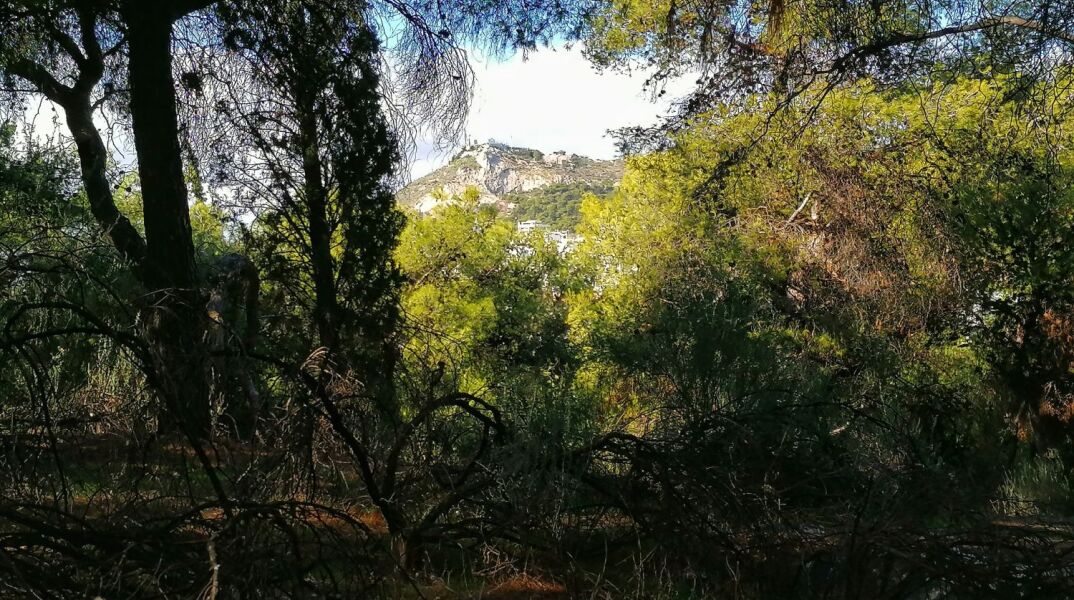 Πάρκο Ιλισίων