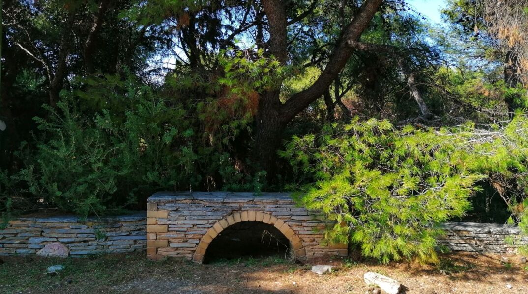 Αλσος Ιλισίων