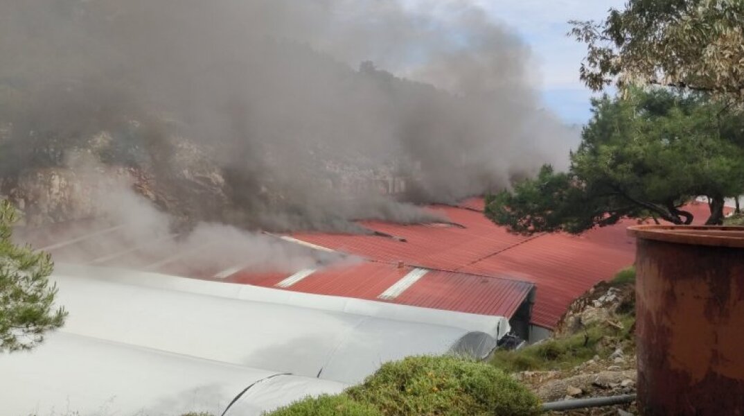 Χίος: Άνω του 1 εκατ. ευρώ οι ζημιές στον Νηρέα από τη φωτιά στις εγκαταστάσεις του