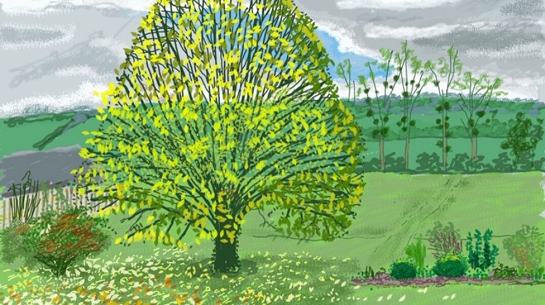 The Big Tree in Autumn (30 October 2020)