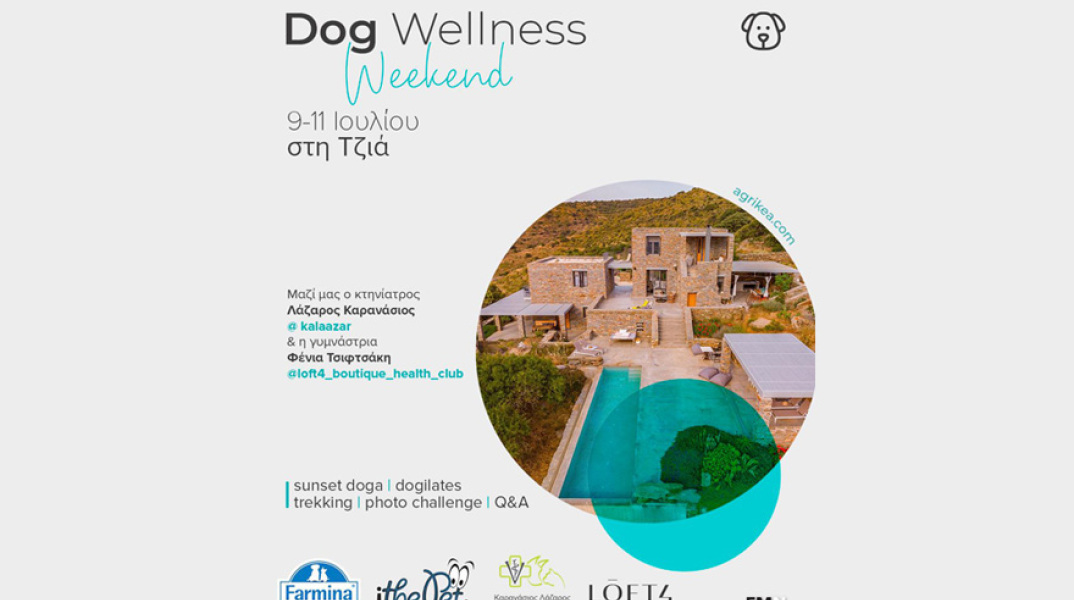 Dog Wellness Weekend