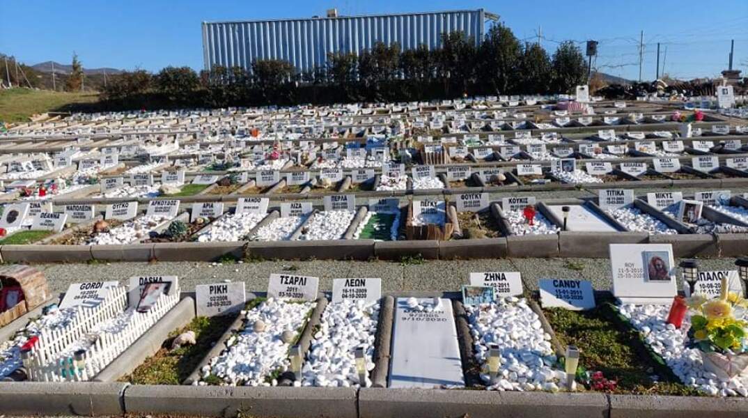 Νεκροταφείο μικρών ζώων στη Θεσσαλονίκη © ΑΠΕ-ΜΠΕ / Β. Ψυχογιός